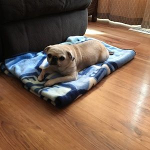 Meet your Posher, Richard